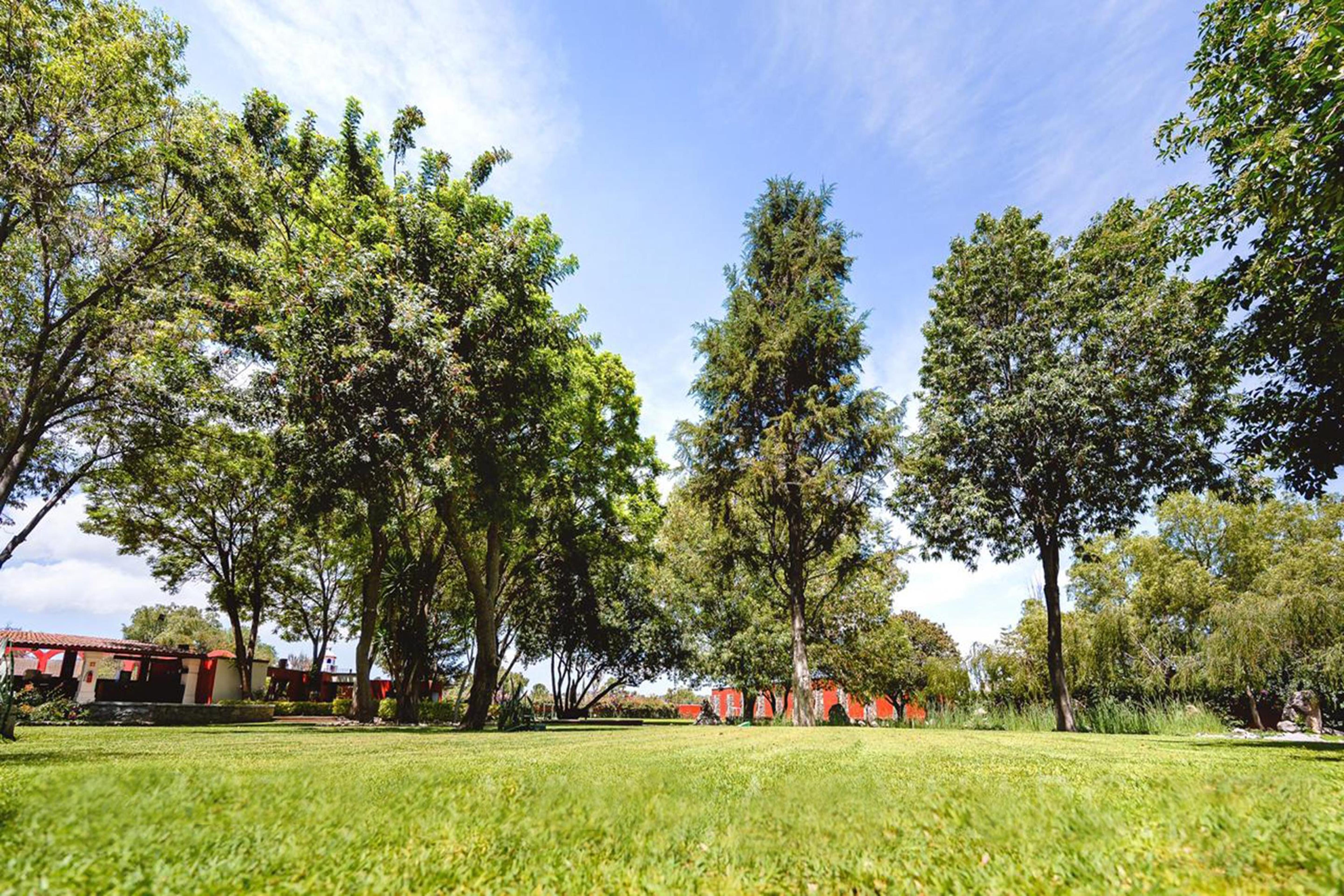 Real De Minas Сан Мигел де Аленде Екстериор снимка The park