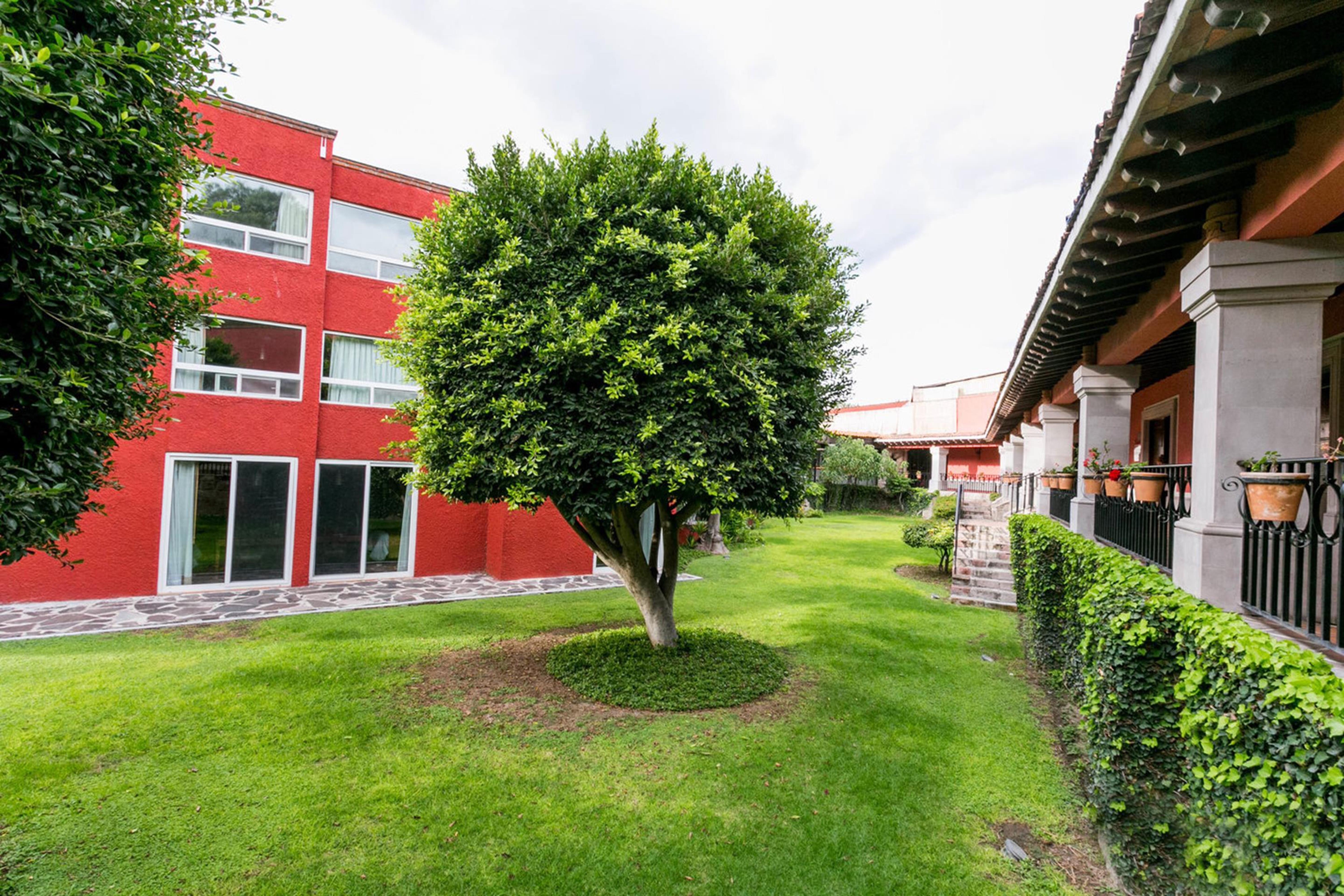 Real De Minas Сан Мигел де Аленде Екстериор снимка Campus de la Universidad Autónoma de La Laguna