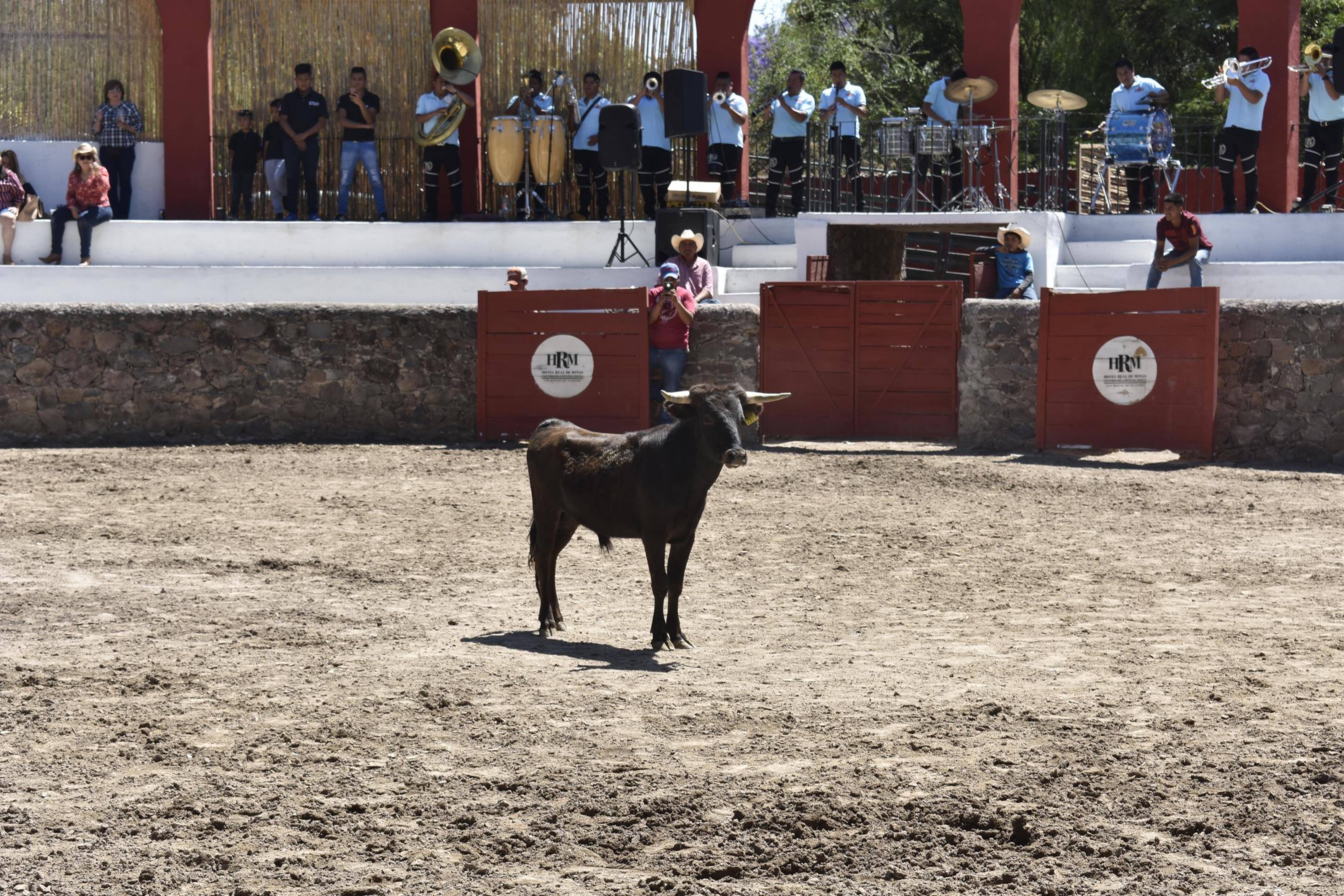 Real De Minas Сан Мигел де Аленде Екстериор снимка A bull in the bullring